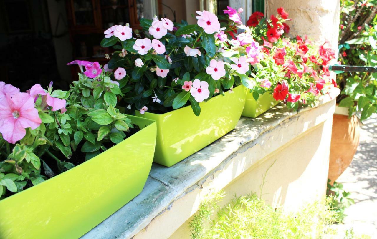Il Giardino Di Laura Private Rooms Mondello Zewnętrze zdjęcie
